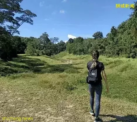 帶娃逛遍新加坡的森林和水庫，9條適合兒童徒步的路線