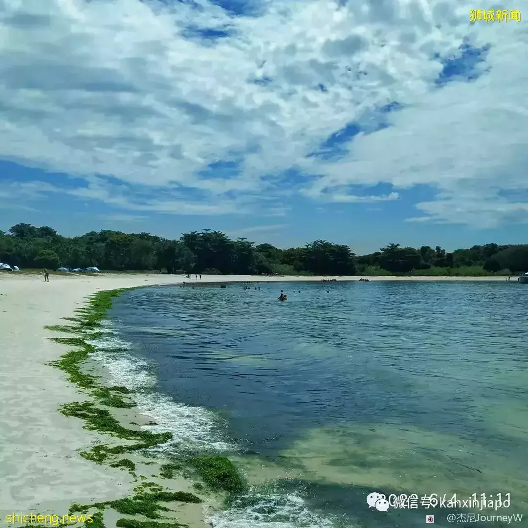 新加坡离岛攻略,半个多小时便能收获美景天堂