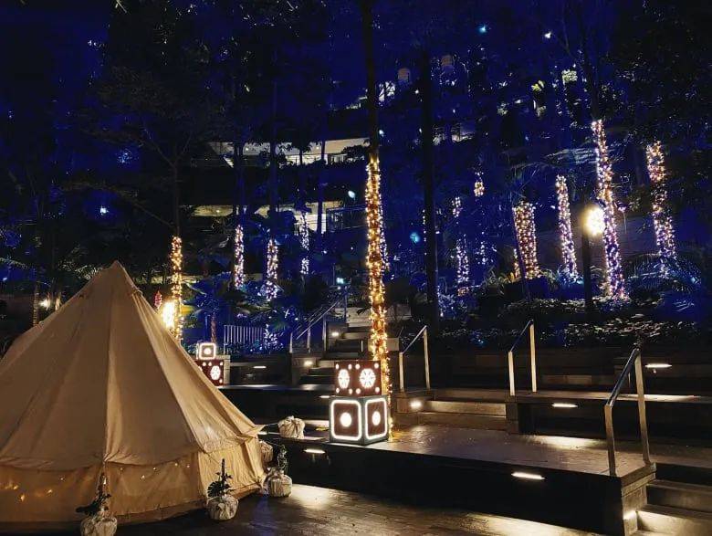 元旦假期,记得来这里体验新型户外住宿