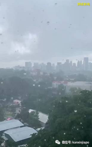 美呆,新加坡碧山开始飘雪花