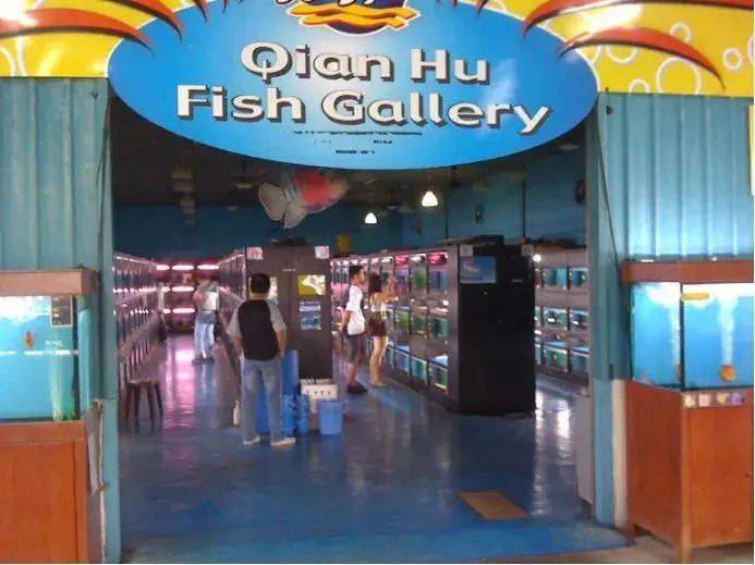 周末去哪兒玩？新加坡休閑動物農場了解一下