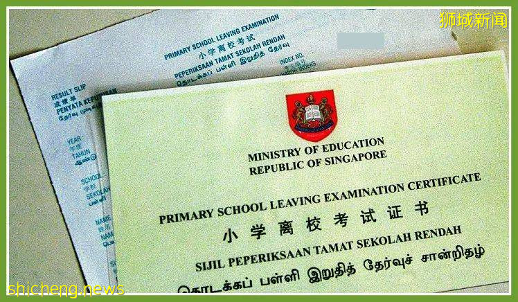 不同年龄段申请入读新加坡学校,难点、要点在这里了