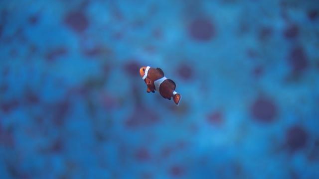 新加坡10天深度自由行，感受世界最嚴法律下的四大種族交融之地3