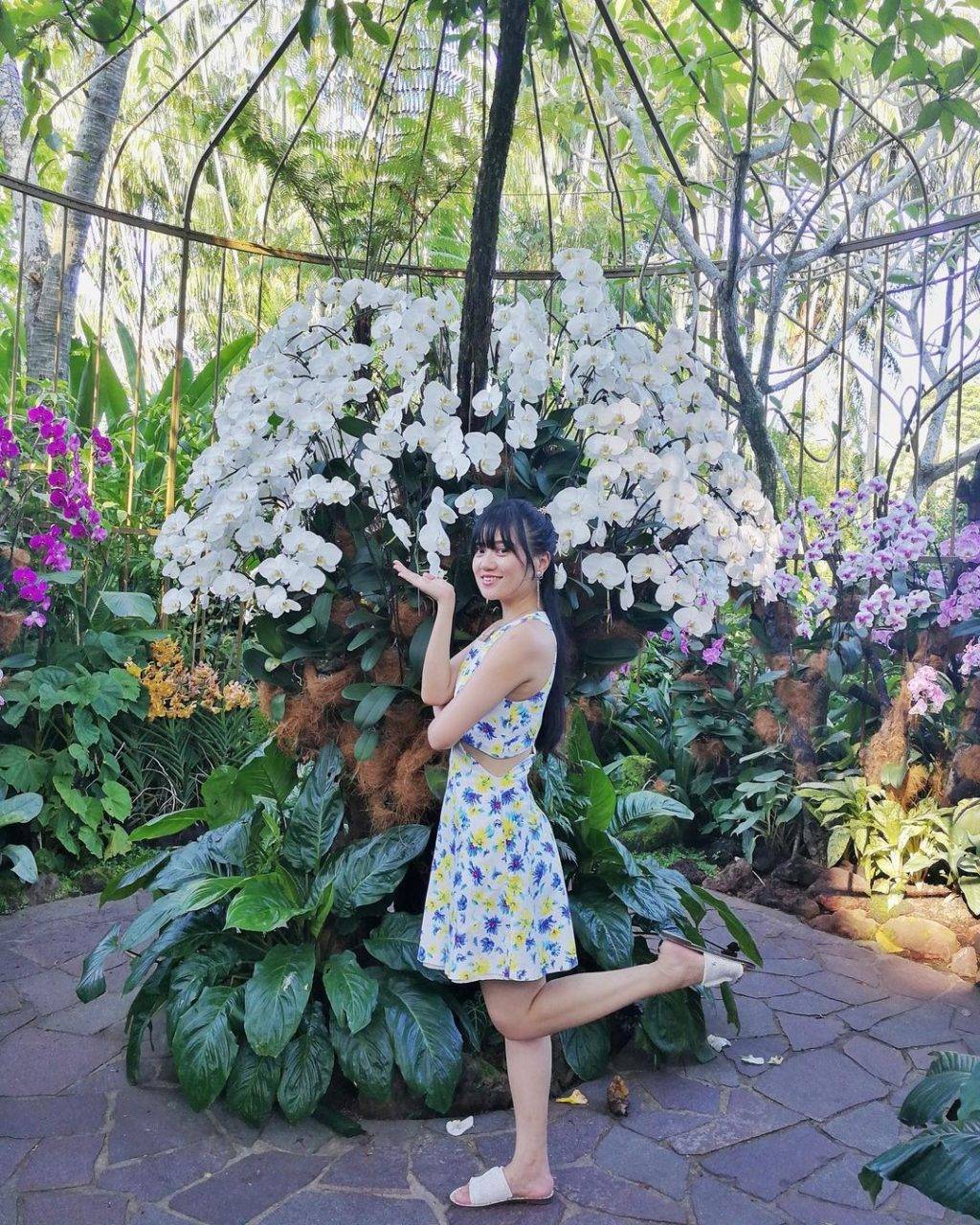 全球最大胡姬花卉展示地“國家胡姬花園”✨清新秀麗、沁人心脾，帶你認識和了解我們的國花😎