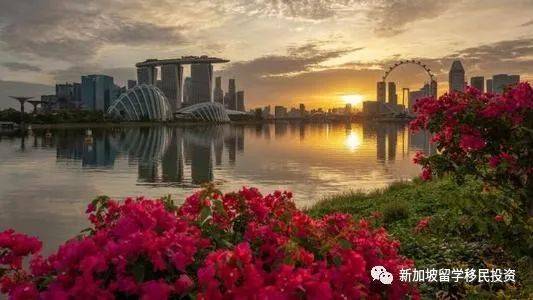 【移民資訊】新加坡總人口10年來首次下滑意味著新加坡移民更多機會
