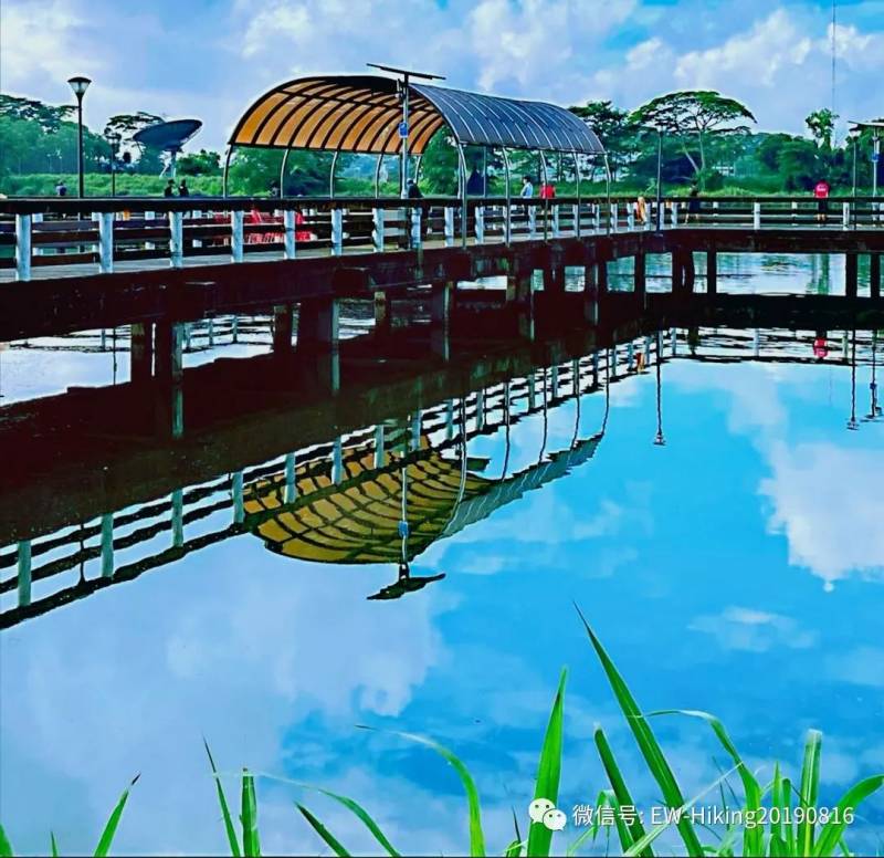 卡迪至山景(丛林探索之旅)