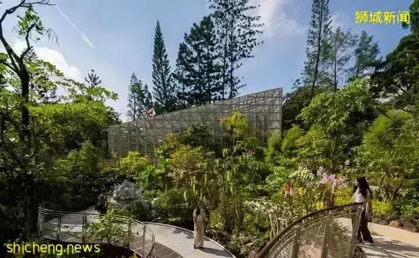 免費！新加坡排名第一的“家庭遊樂場”，竟然有這麽多項目我還沒玩過