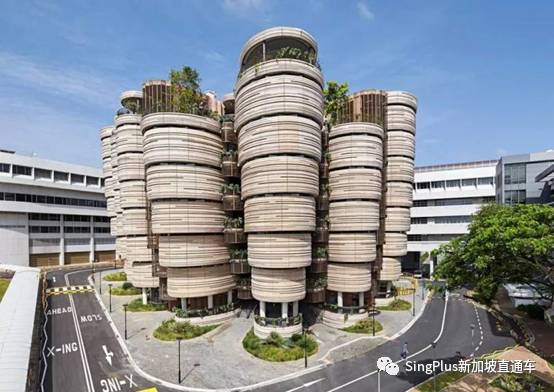 罪惡萌芽,新加坡的大學到底怎麽了