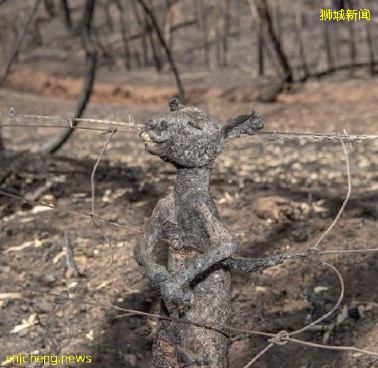 全球確診破700萬!2020,見證曆史的一年!