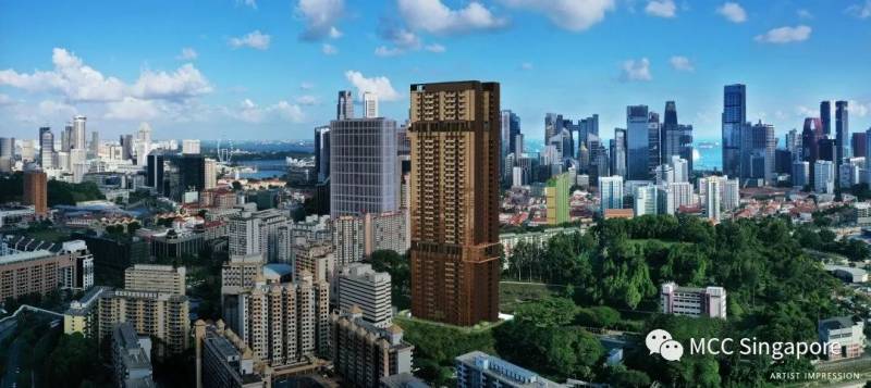 新加坡的打卡聖地“牛車水”，你真的懂它嗎