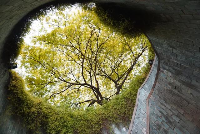 新加坡旅行|6天5晚奇遇狮城的日与夜