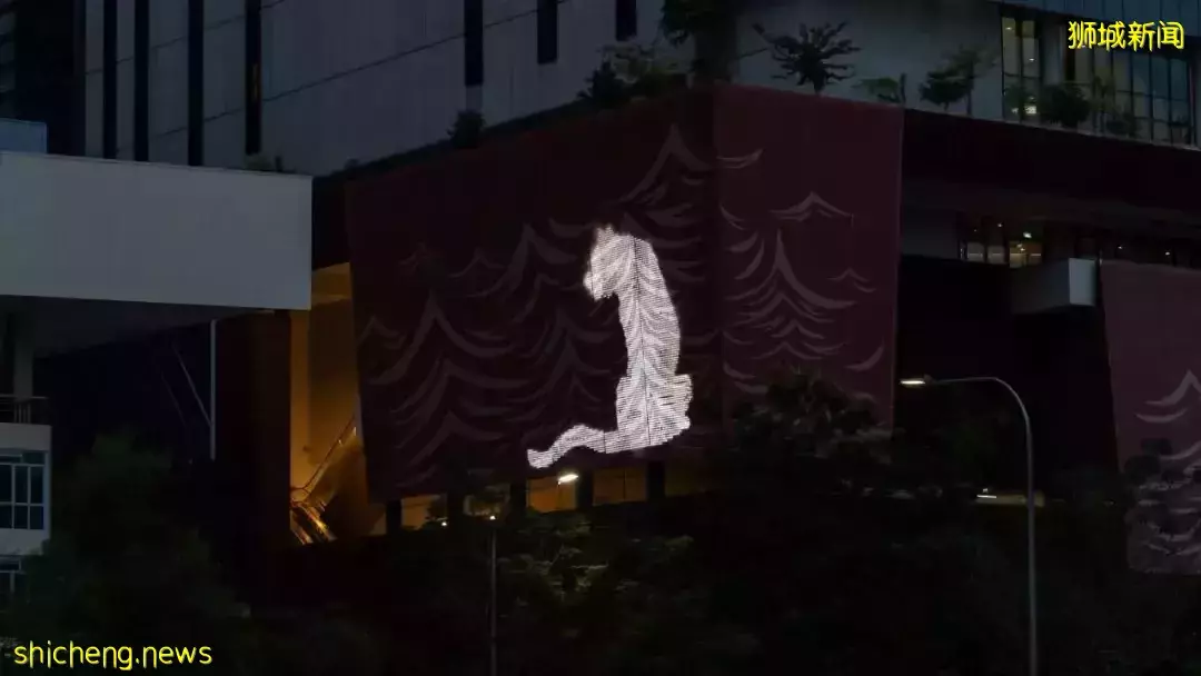 華彩2022的五個新發現