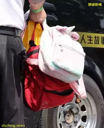 ◤新國組屋奪命火◢大馬死者 身份揭秘 臨終前 父女緊抱一起