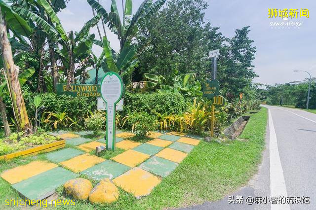 新加坡有座宝藏农场，全部种植有机蔬果，周末成度假打卡圣地