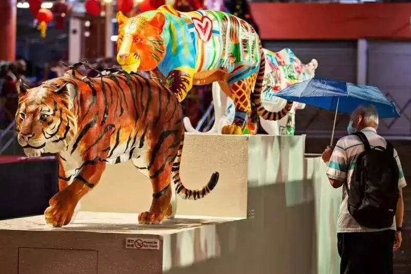 過年必打卡新加坡牛車水,300多個虎年燈飾亮起來啦!【多圖】