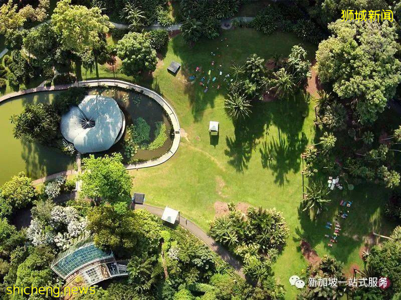 最美麗的自然風光: 新加坡植物園!