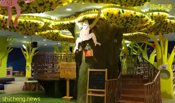 新加坡竟有這麽多各具特色的小衆圖書館！快來一起漫遊書海吧