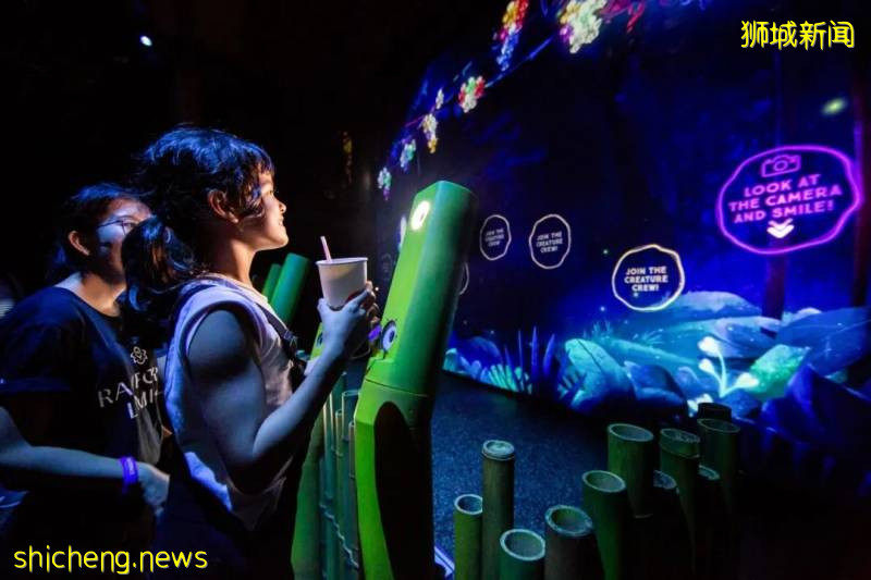 新加坡動物園沉浸式多媒體夜行體驗“RAINFOREST LUMINA”|CAAPA周末分享!