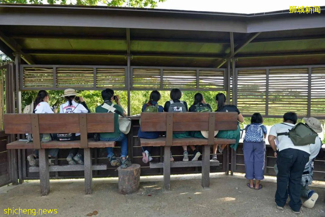 周末帶娃去徒步!10米高木塔、農場、木棧道,湖天一色好美