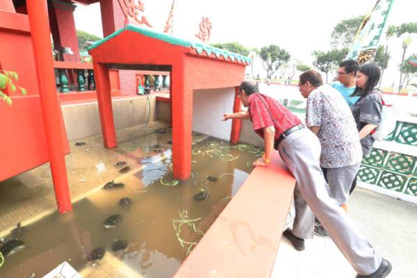 大马旅客赶搭首班渡轮 龟屿进香求好运