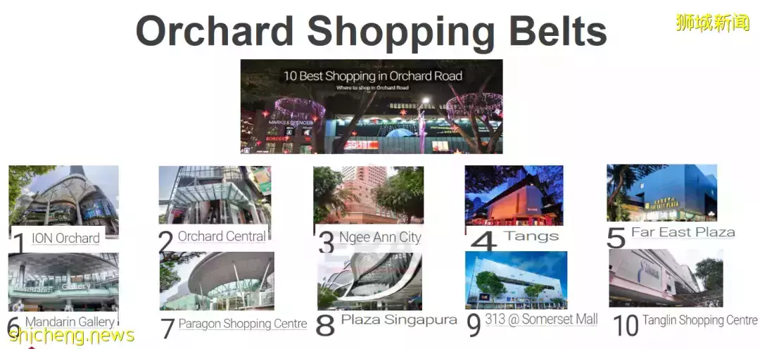 新加坡【D11區】中央核心CBD紐頓永久地契新公寓 10 evelyn【頂級名校學區房】