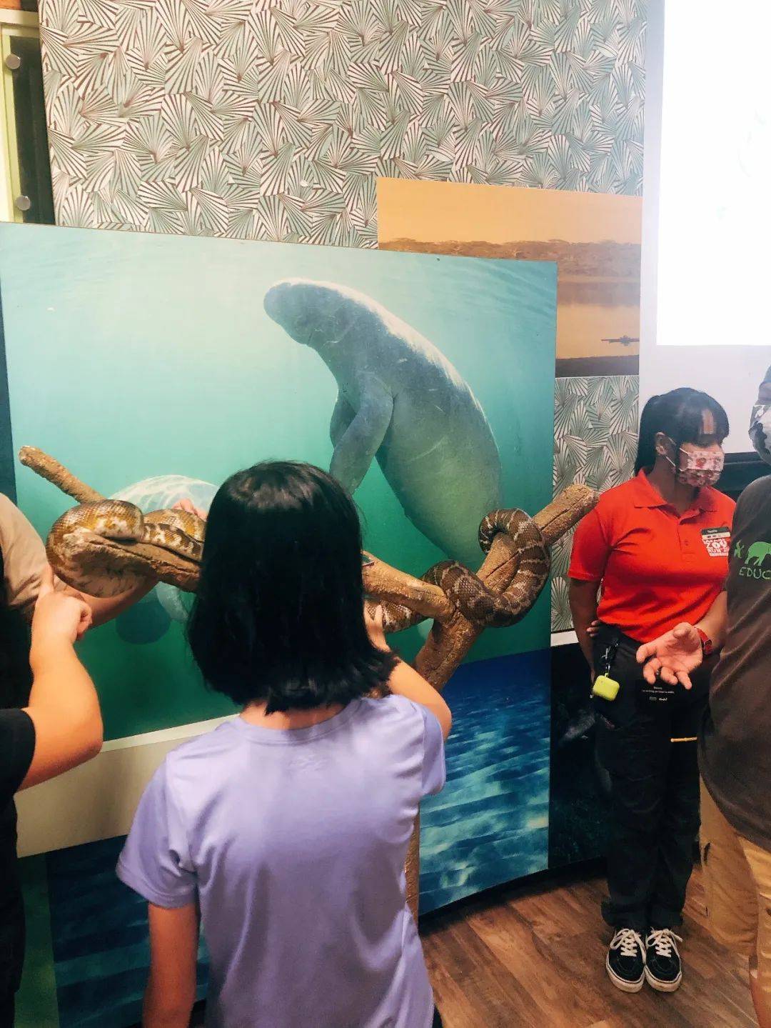 新加坡遛娃新去处!到河川生态园喂海牛,给孩子不一样的staycation