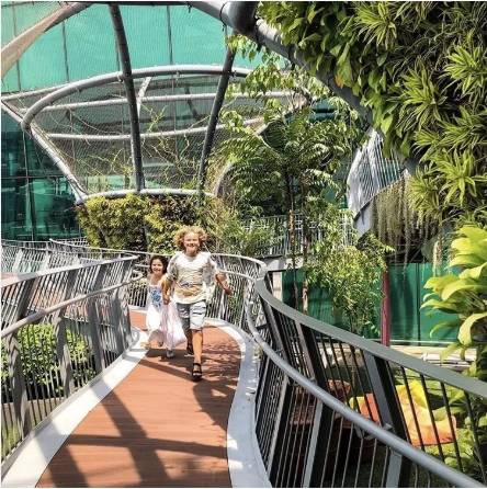 新加坡樟宜機場全方位解讀