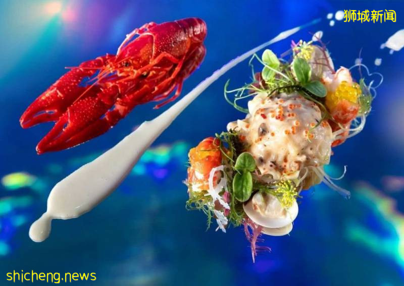 S.E.A海洋馆推出浪漫海底晚餐,感受与Manta共进晚餐的奇妙体验