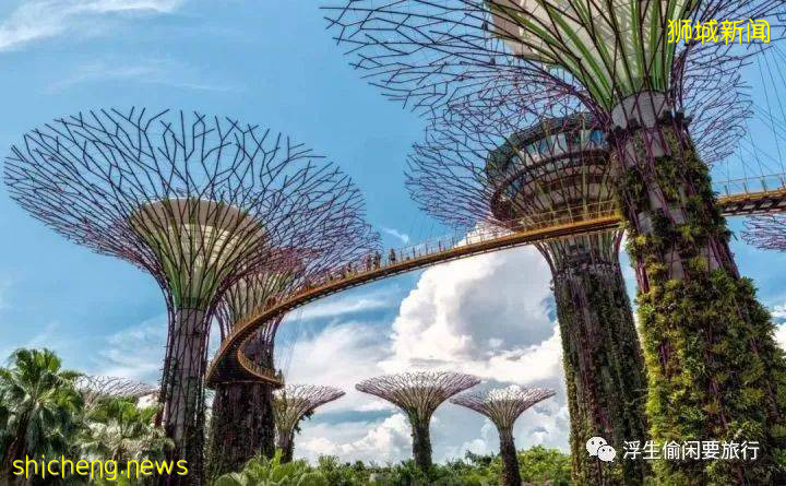 新加坡拍照聖地!