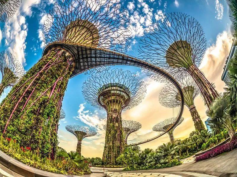 法国餐厅|新加坡美食节