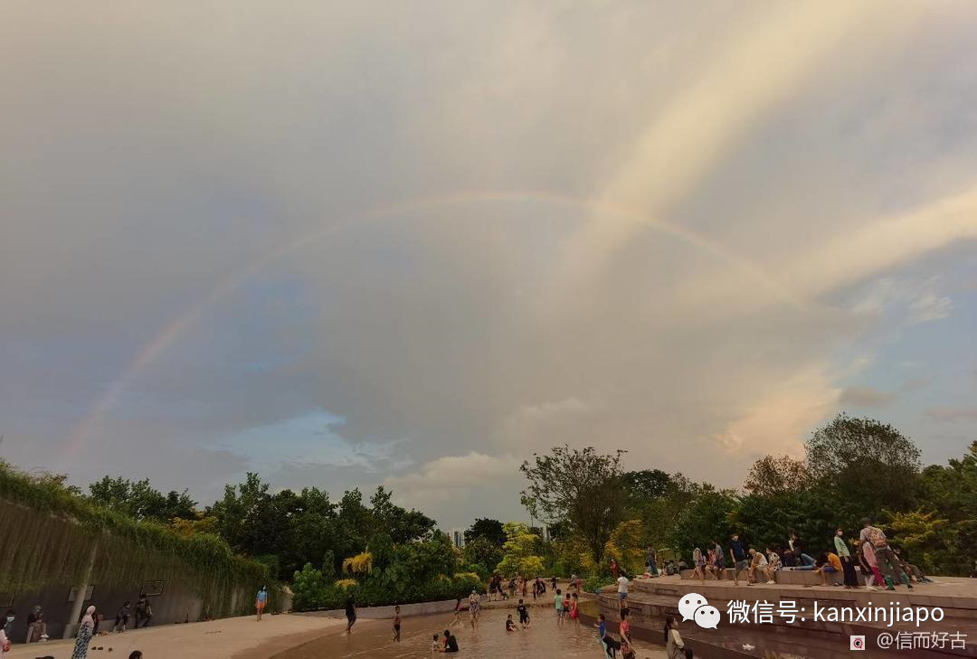 新加坡佳节祥瑞双彩虹！从副总理到外长，全岛都在拍照