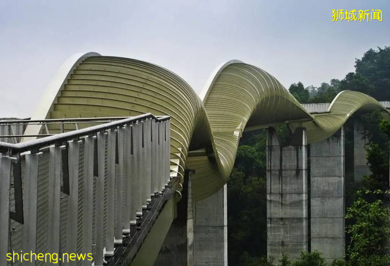 不能出国，坡里这些美食美景让你假装在国外