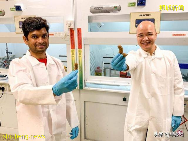 酸豆壳变汽车能源？看新加坡研究团队如何做到