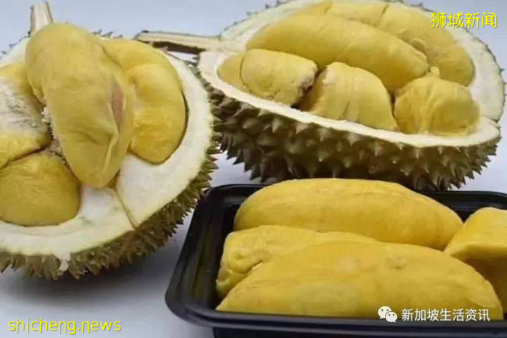 獅城“榴梿”往返