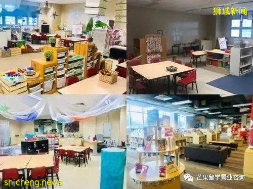 新加坡加拿大國際學校,承包了國際IB課程和王牌雙語項目