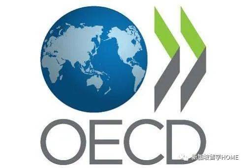 看看狮城新加坡的教育素质