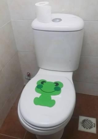 ◤武汉肺炎◢盖马桶冲水 可防病毒传播