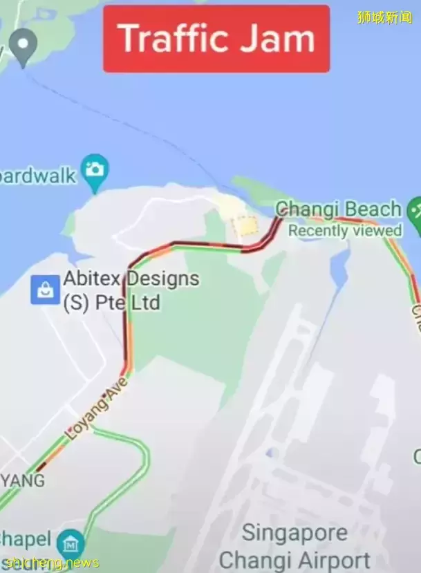 新加坡現“藍色螢光”海浪!這裏擠滿了人,沿路交通擁堵