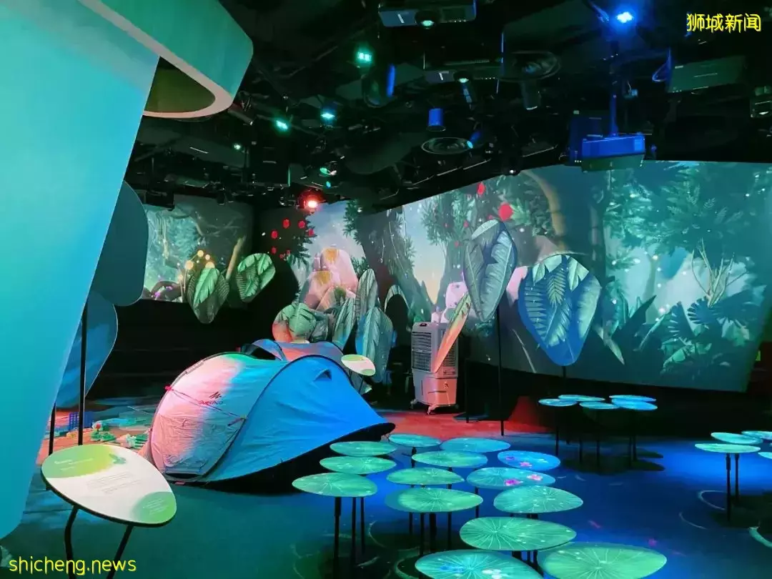 爆火的机场1夜露营又来啦！仅$78还送河川动物园门票