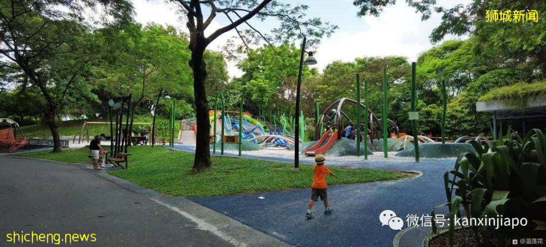 遛娃圣地海军部公园,超多大滑梯,大人孩子一起嗨