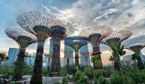 公證認證2021最新變化 新加坡文書在中國合法使用的認證程序