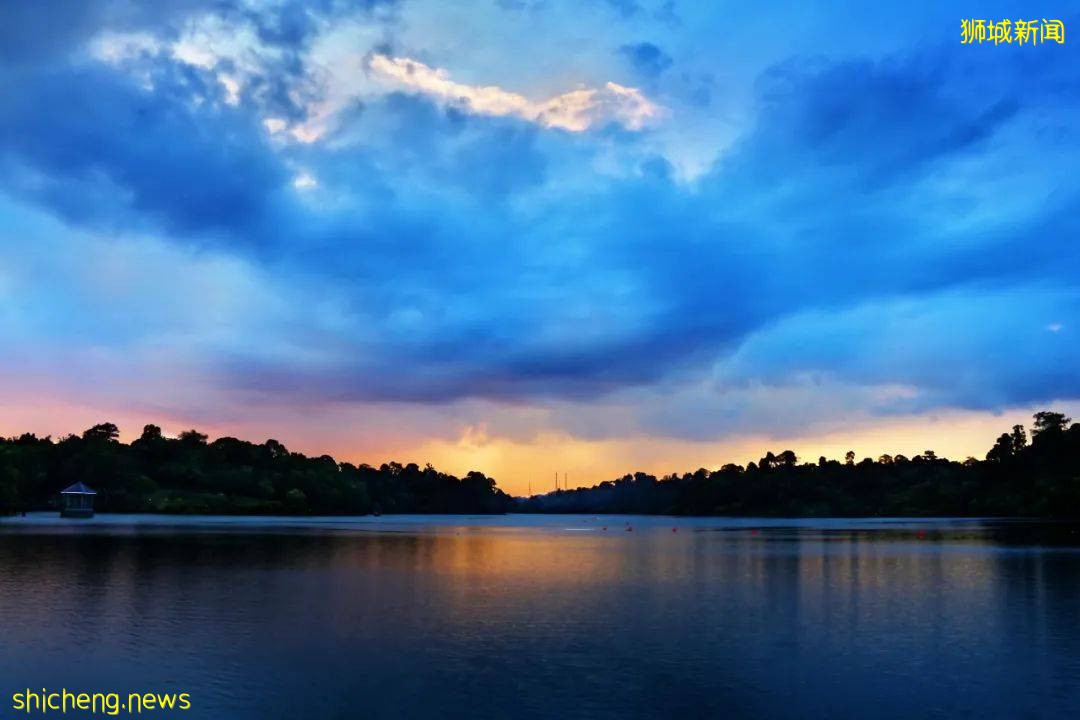 新加坡超火徒步路线!树梢吊桥、水映花树、长尾猴、松鼠、巨蜥,太美了