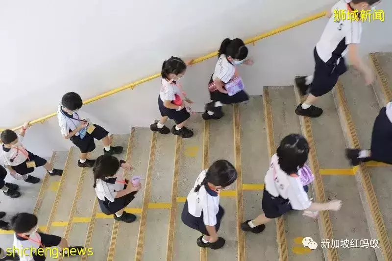 马国小学生书包重达6公斤被令“减重” 狮城小学生书包轻多了