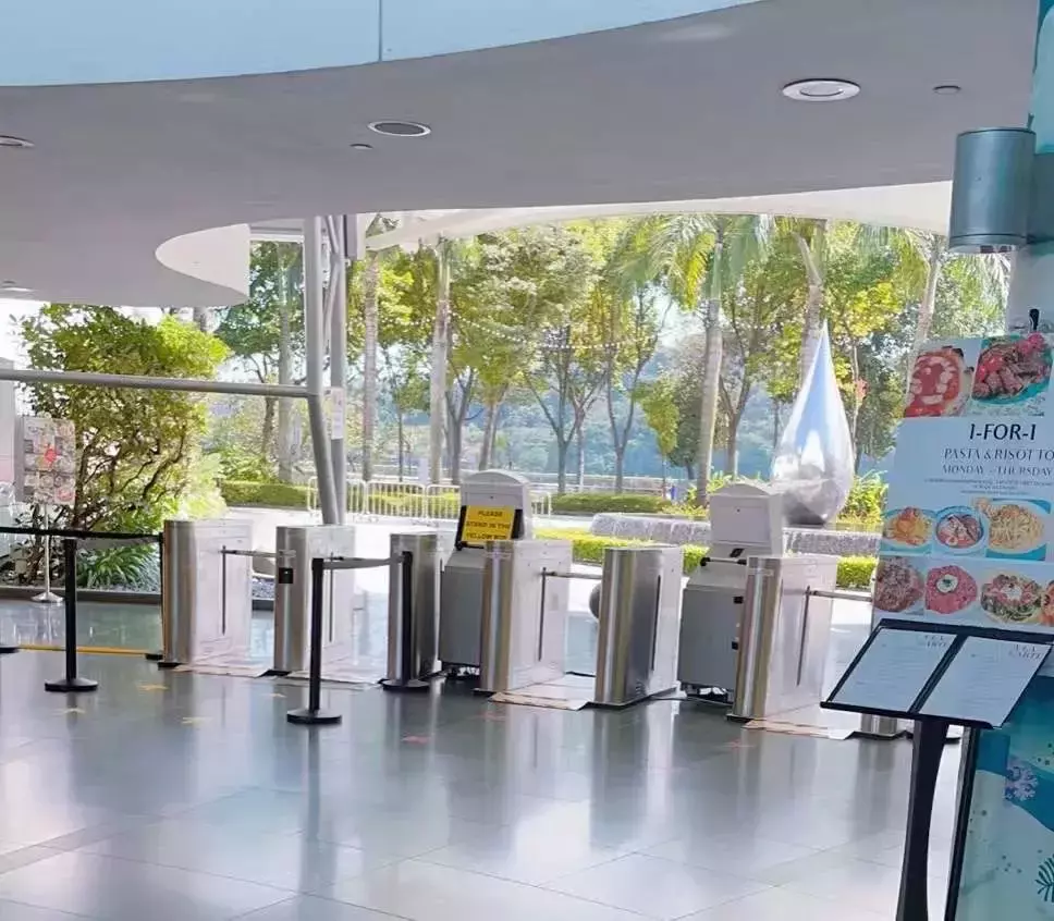 刺激！新加坡最酷的海上运动，1小时乘海军飞艇游5个岛，感觉爽飞了