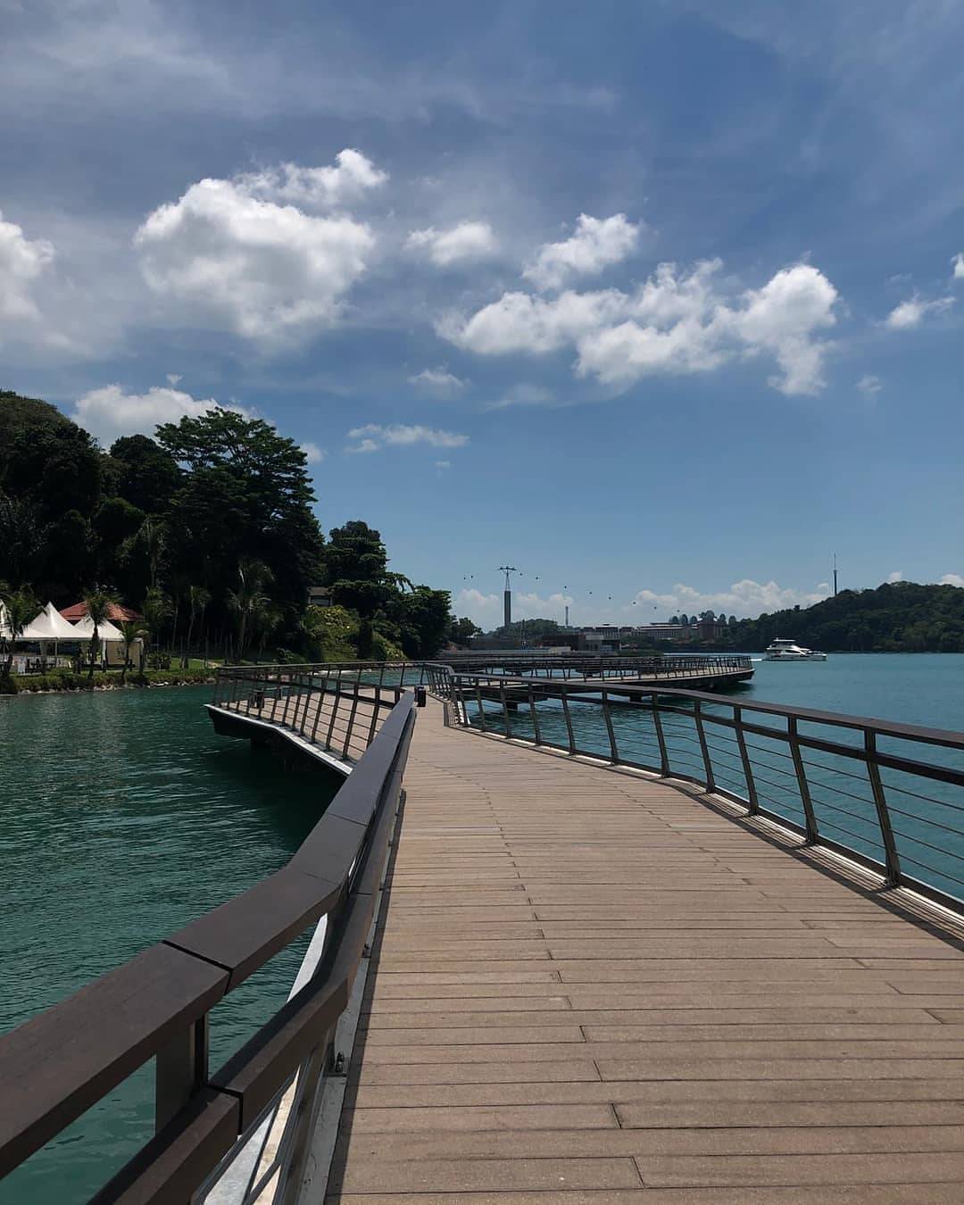 惬意悠閑“木板路”合集!新加坡11大自然景區⭐️ 林間漫步攻略+絕美海濱棧道