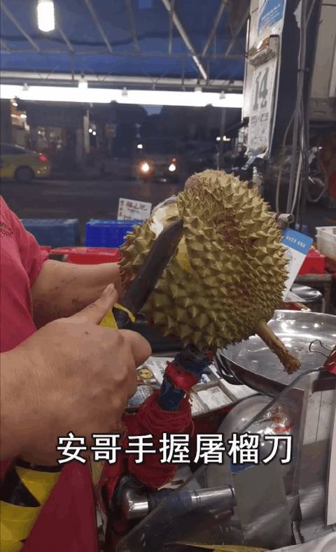 昨晚，我們在新加坡芽籠紅燈區吃雞，是怎樣一種體驗