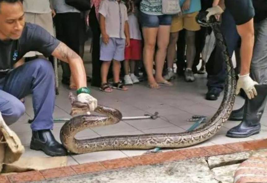 突發!他在新加坡騎車被卷入公交車底慘死!全島網民呼籲立法