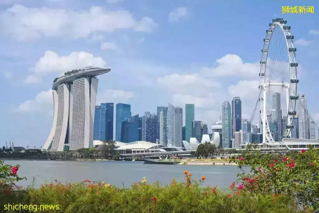 作为新移民，你为什么选择在新加坡生活？说说你的理由