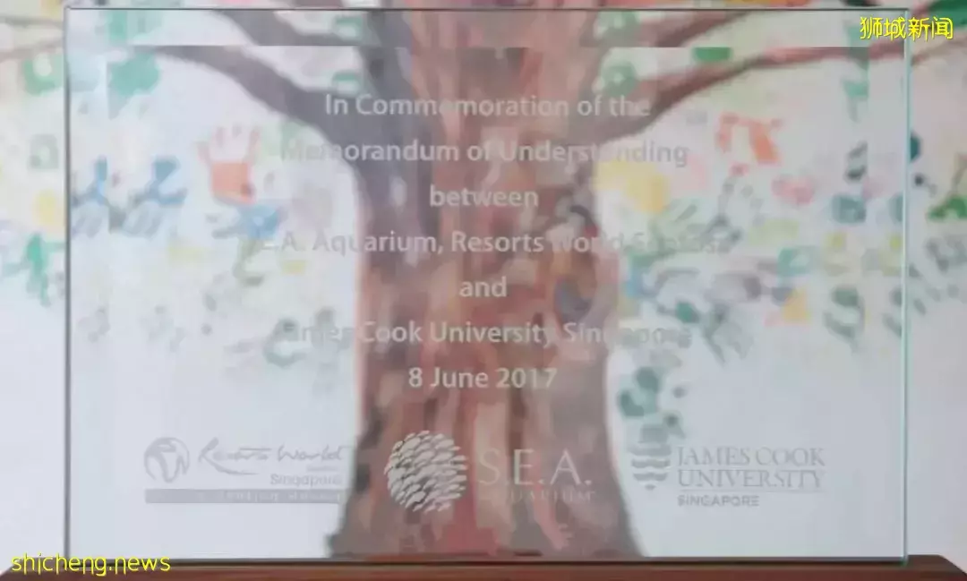 去新加坡S.E.A.海洋馆除了看鱼还能干什么