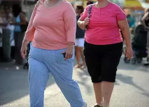 新加坡研究發現了人類大腦裏的“減肥開關”,控制好開關就瘦了